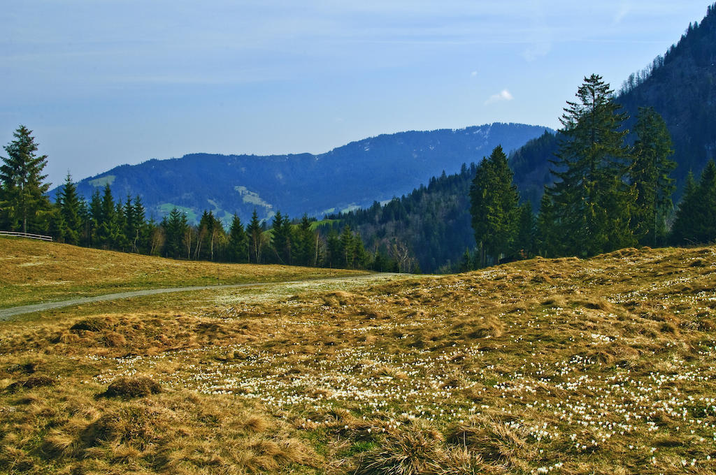 Motel Hohenems Luaran gambar
